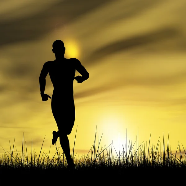 Concept or conceptual human male or young man black silhouette running happy in summer grass over sky at sunset or sunrise background