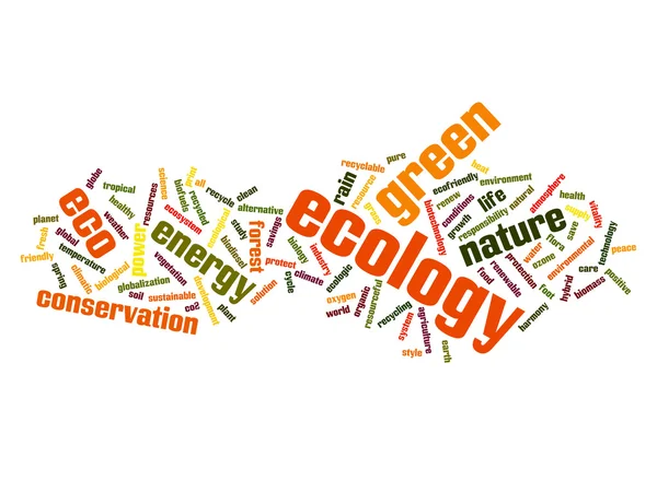 Hoge resolutie concept of conceptuele abstracte groene ecologie en instandhouding word cloud-tekst op witte achtergrond — Stockfoto