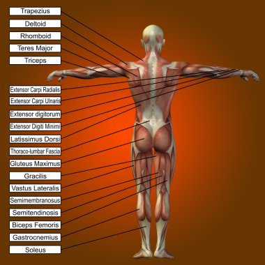 adam kasları ve metin