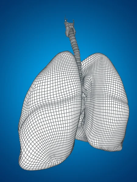 Sistema respiratorio de malla cableada — Foto de Stock