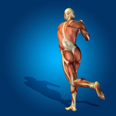 kavramsal stong insan