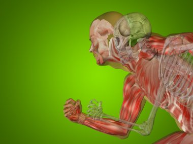 kavramsal insan adam