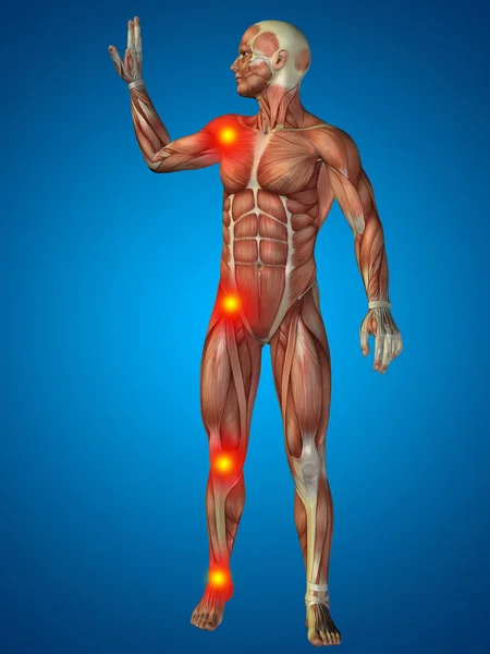 Humano ou homem com músculos — Fotografia de Stock
