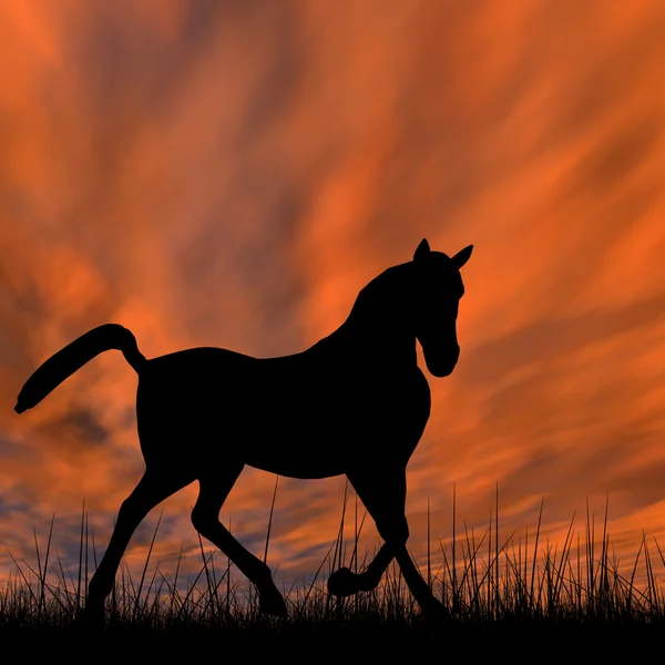 Horse silhouette in grass — Stock fotografie