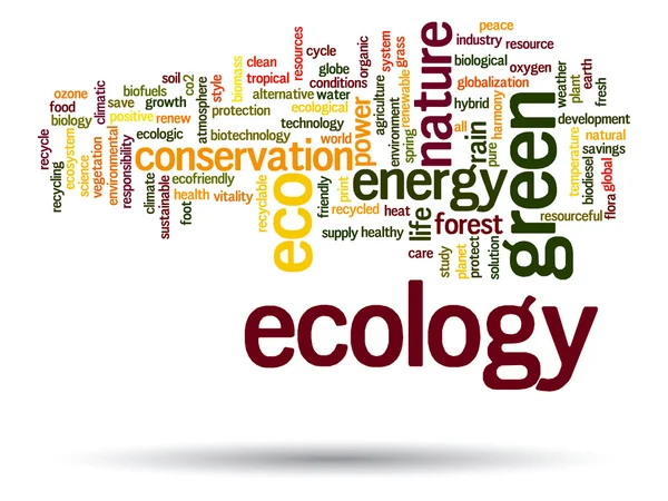 Tekst słowa ekologia — Zdjęcie stockowe