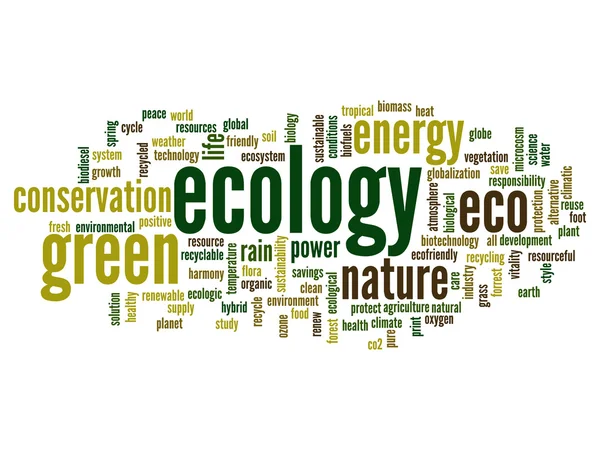 Ecologie en instandhouding word cloud — Stockfoto