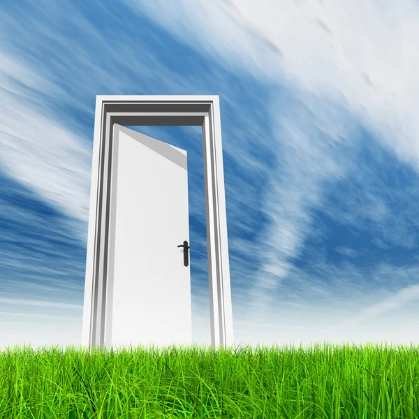 Opened door at horizon — Stock Photo, Image