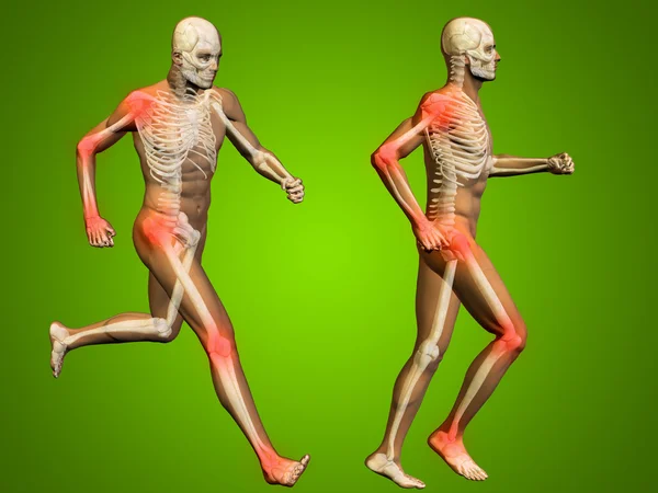 Człowieka lub mężczyzna szkielet — Zdjęcie stockowe