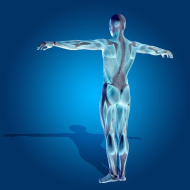 kavramsal stong insan