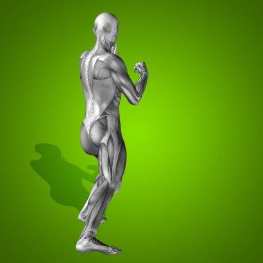 kavramsal stong insan