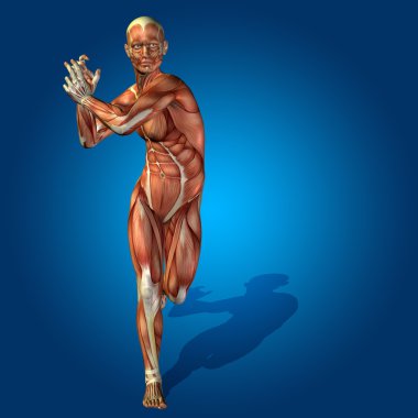 kavramsal stong insan