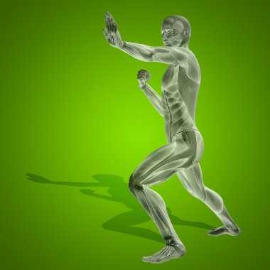 kavramsal stong insan