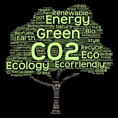 Ekoloji metin olarak wordcloud
