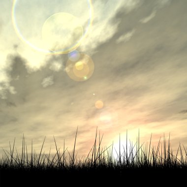 kavramsal siyah çimen