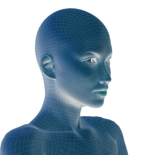 Conceptual wireframe young human — Stock Photo, Image