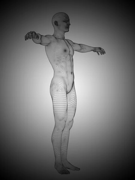 Mesh or wireframe male — Stock Photo, Image