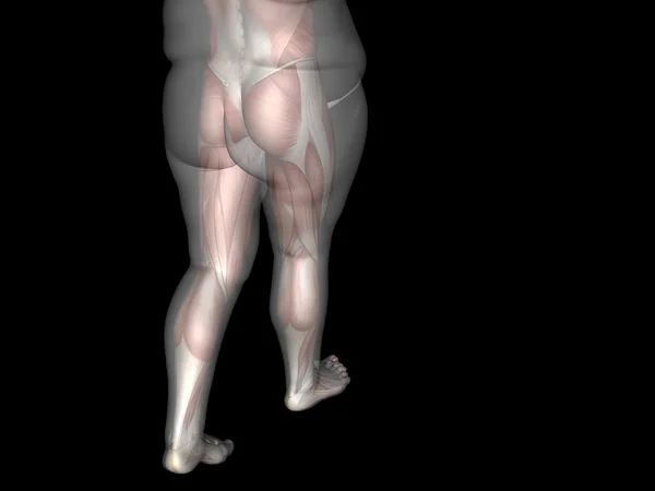 Tłuszczu vs szczupły sprawny człowiek — Zdjęcie stockowe