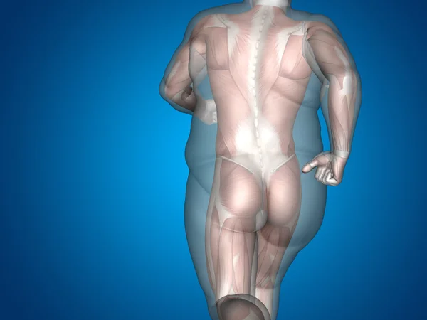 Gemuk kelebihan berat badan vs ramping pria fit — Stok Foto