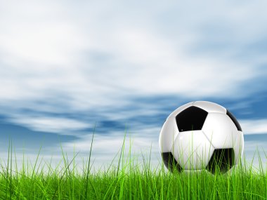 futbol topu çimlerin üzerinde