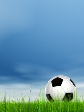 futbol topu çimlerin üzerinde