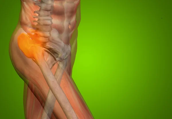 Joint or articular pain, ache — Stock Photo, Image