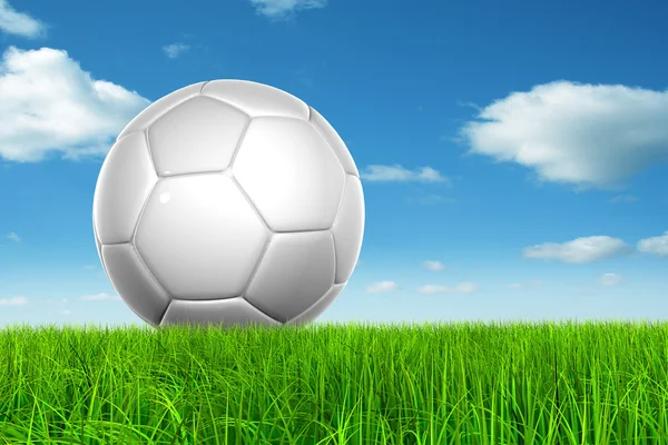 Ballon de football dans l'herbe — Photo