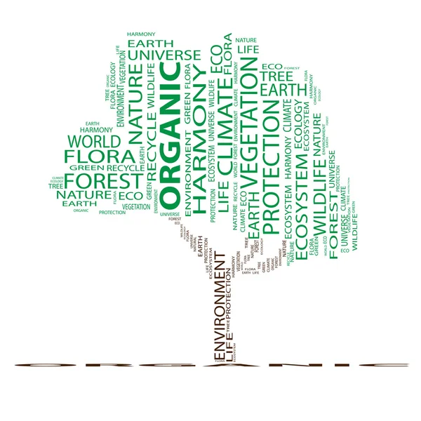 Ecology text as wordcloud — Stock Photo, Image