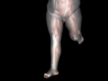 adam kilolu vs ince uygun