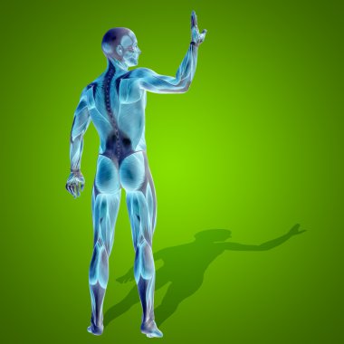 kavramsal stong insan