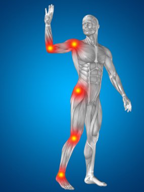 3D insan veya anatomi veya sağlık tasarımları ile eklem için kaslı adam veya kemik ağrısı. Bir erkek mavi zemin üzerine