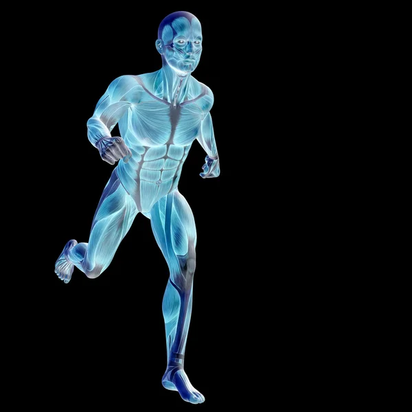 Człowieka lub człowieka z mięśni — Zdjęcie stockowe