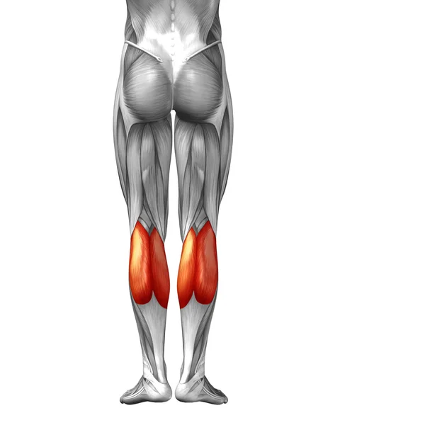 Нижние ноги человека — стоковое фото