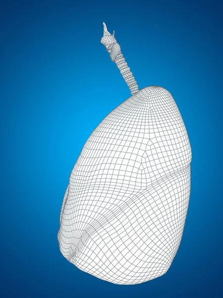 Mesh respiratory system — Stock Photo, Image