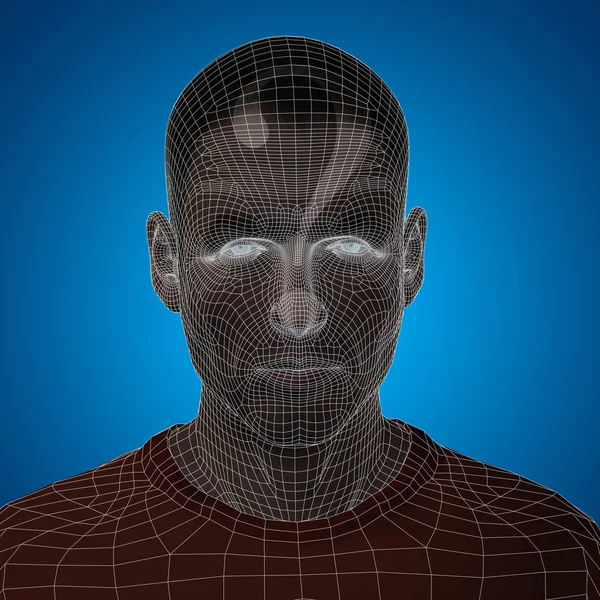 Wireframe human  head — Stock Photo, Image