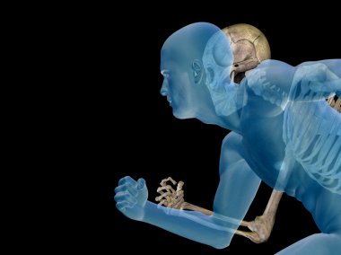 Kemikler ile erkek anatomisi