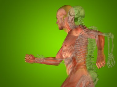 kavramsal insan adam