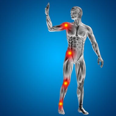 İnsan ya da kaslı adam