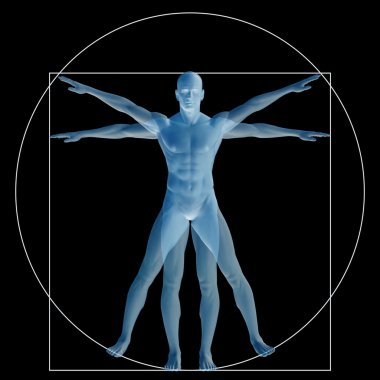 Vitruvius insan veya insan bir kavram olarak