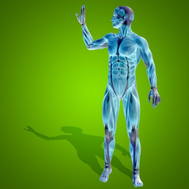 kavramsal stong insan