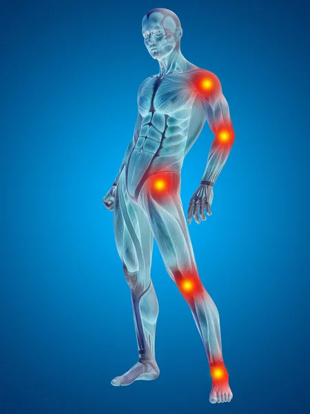 3D human or man with muscles for anatomy or health designs with articular or bones pain. A male on blue background — Stock Photo, Image