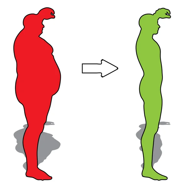 Concept of conceptuele 3d vet overgewicht vs slanke passen dieet met spieren jongeman silhouet geïsoleerd op witte achtergrond — Stockfoto