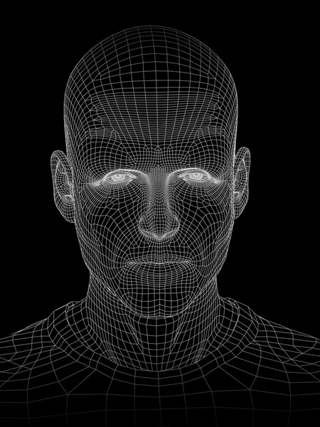 Wireframe cabeça masculina humana — Fotografia de Stock