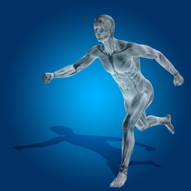 Kavram ya da kavramsal stong insan