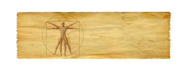 kavramsal Vitruvius insan