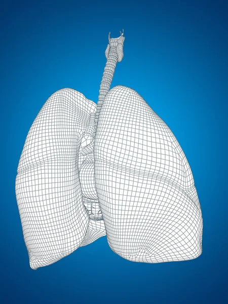 Mesh respiratory system — Stock Photo, Image