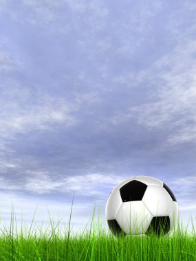 Futbol topu alan çim