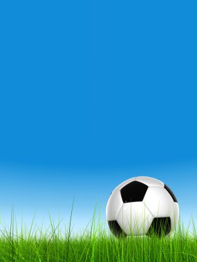 Futbol topu alan çim