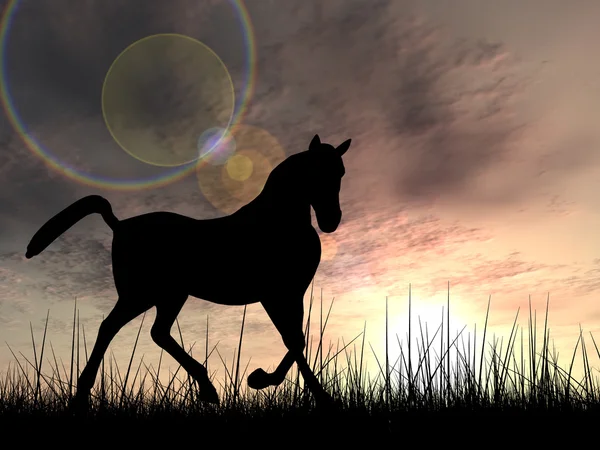 Černý kůň silueta — Stock fotografie
