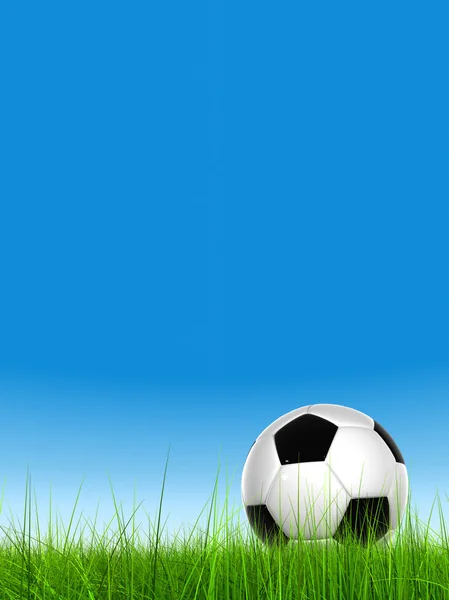 Soccer ball in  field grass — Stock Photo, Image