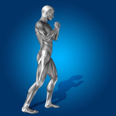 stong insan veya adam